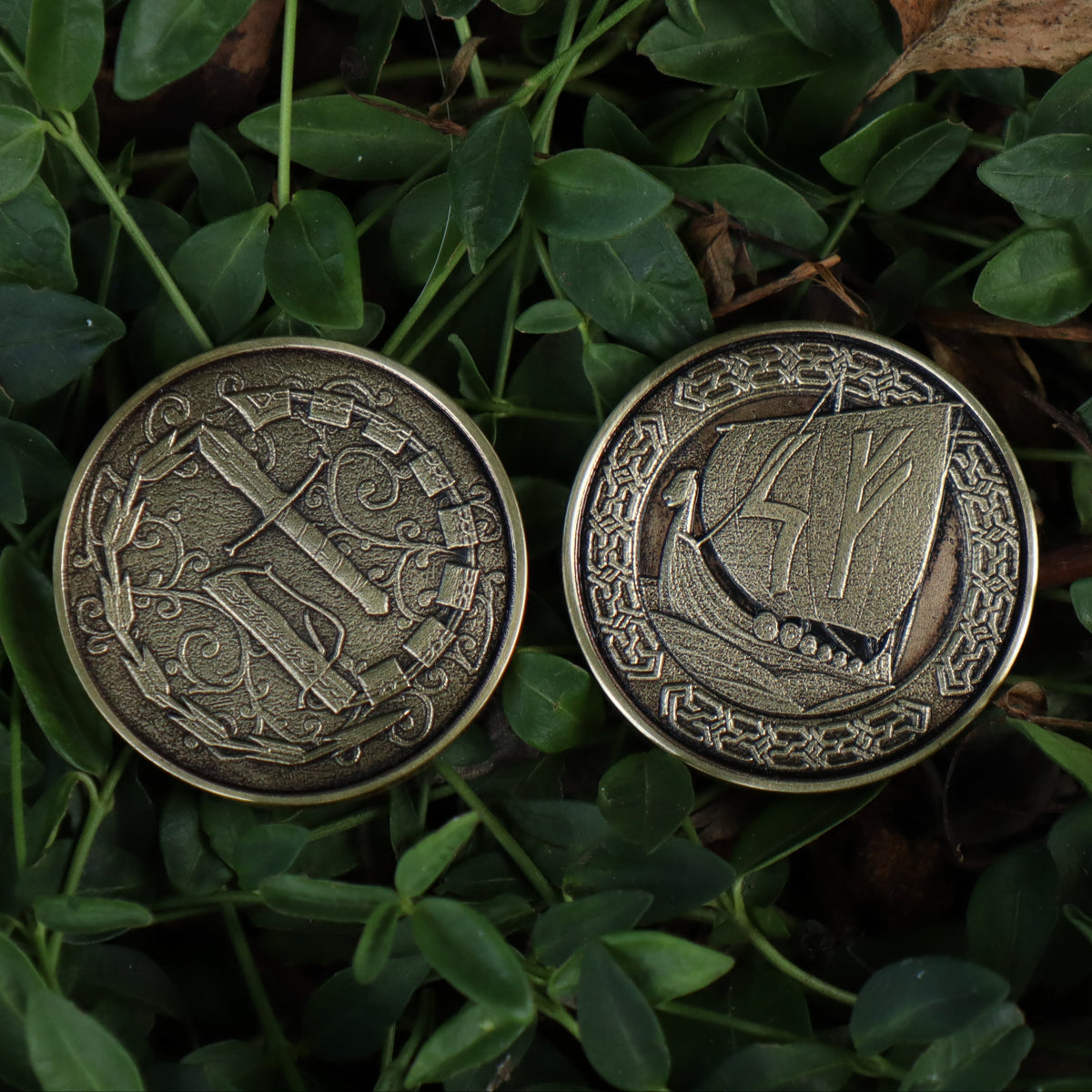 Whip Sword Collector Coin